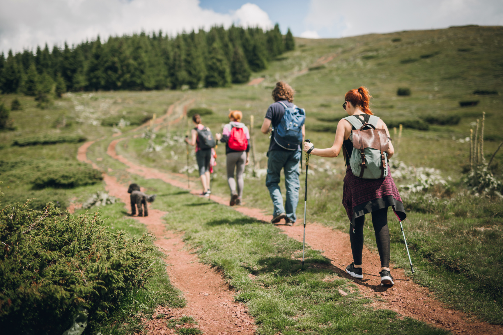 Group of friends hiking expedition